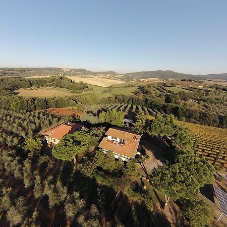 La Sassetta Villa Bibbona Kültér fotó