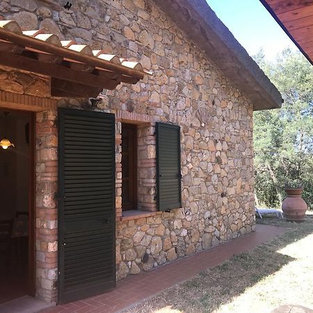 La Sassetta Villa Bibbona Kültér fotó