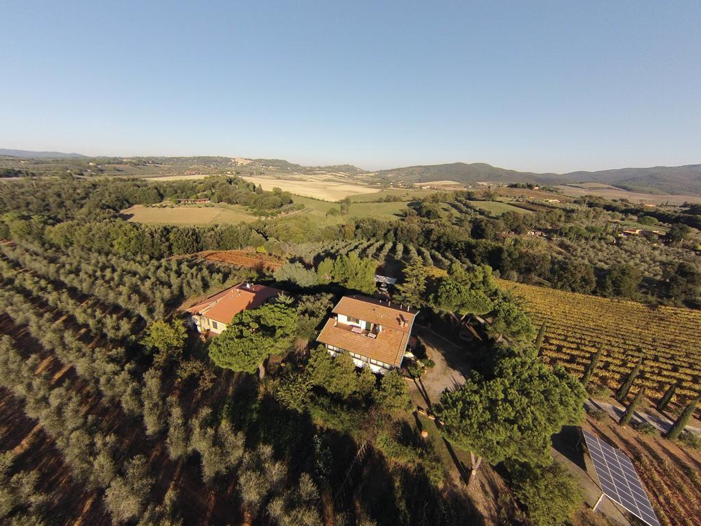 La Sassetta Villa Bibbona Kültér fotó