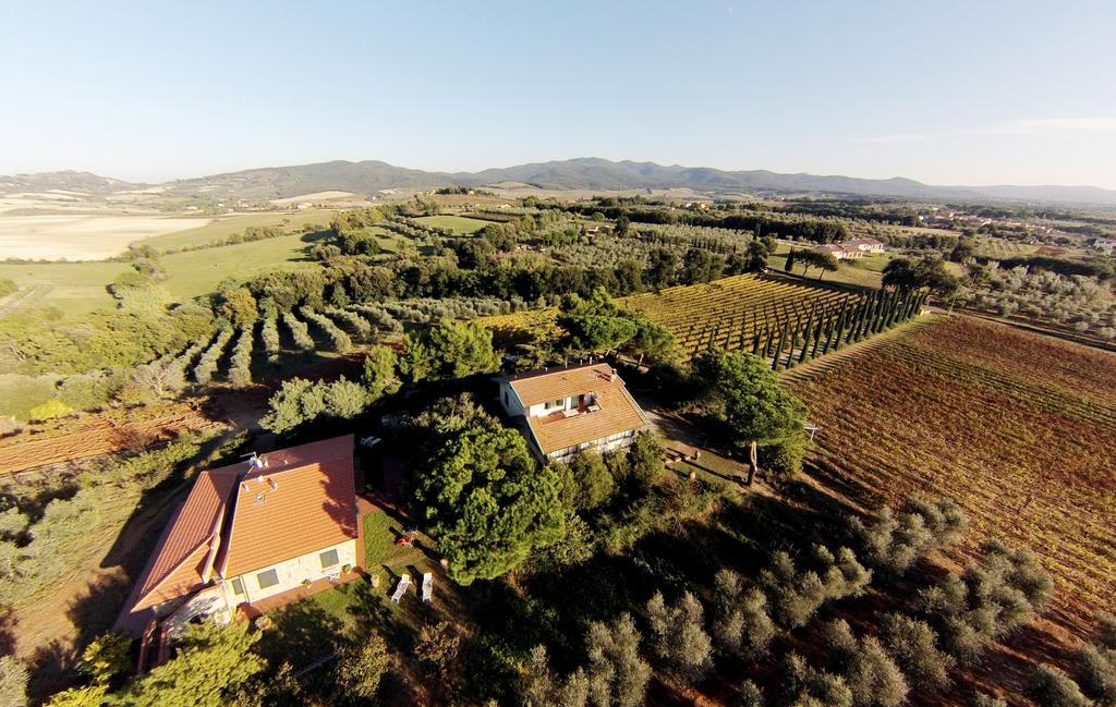 La Sassetta Villa Bibbona Kültér fotó