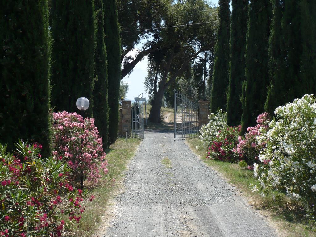 La Sassetta Villa Bibbona Kültér fotó