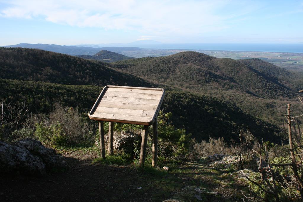 La Sassetta Villa Bibbona Kültér fotó